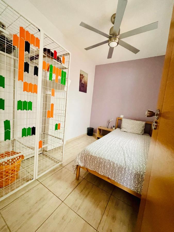 Apartmán Piso Amplio Familiar Telde Exteriér fotografie